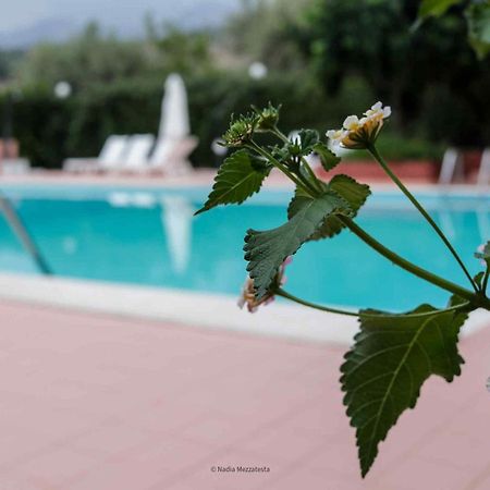 Il Casale Il Sole E La Margherita Кампофеличе-ди-Роччелла Экстерьер фото
