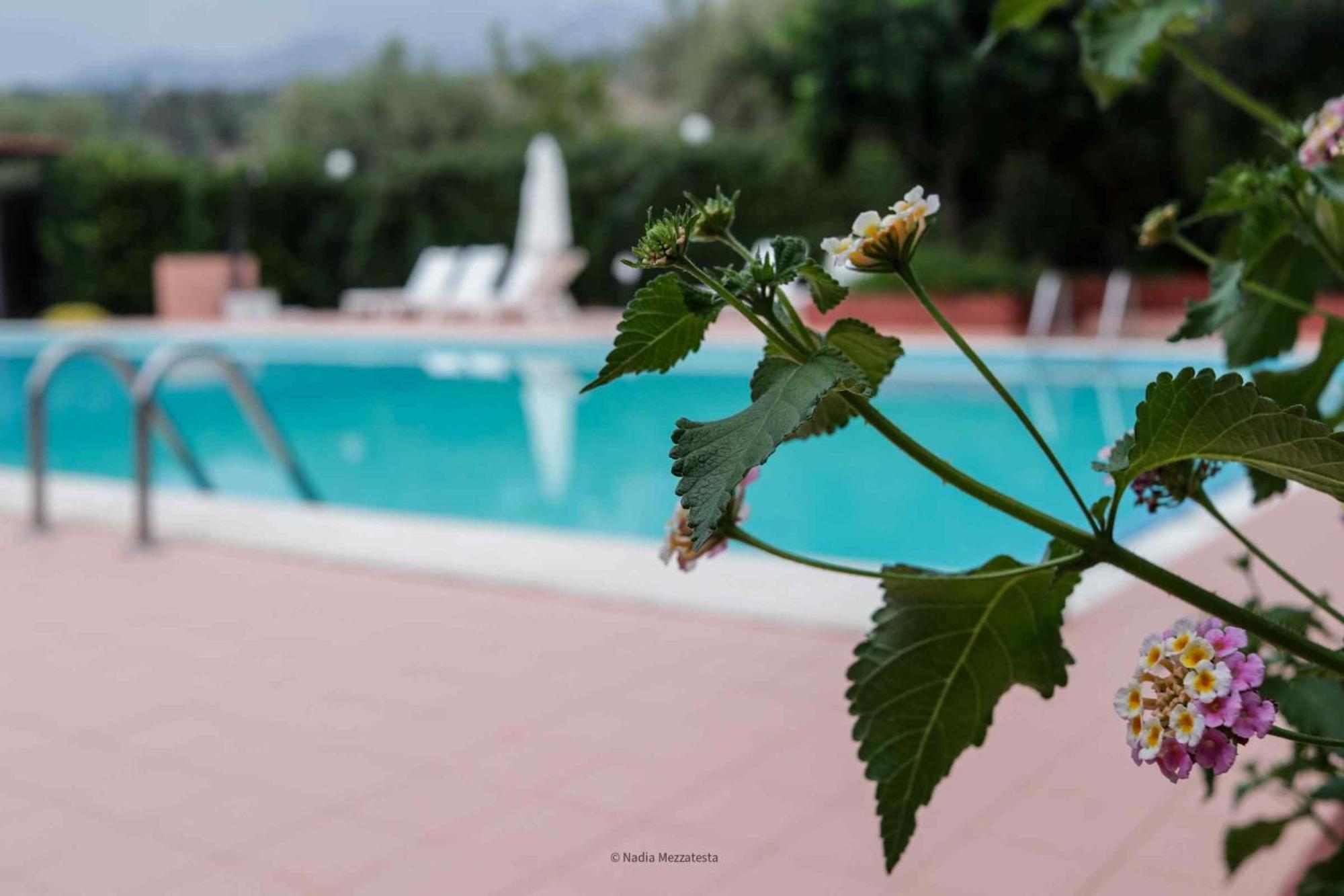 Il Casale Il Sole E La Margherita Кампофеличе-ди-Роччелла Экстерьер фото