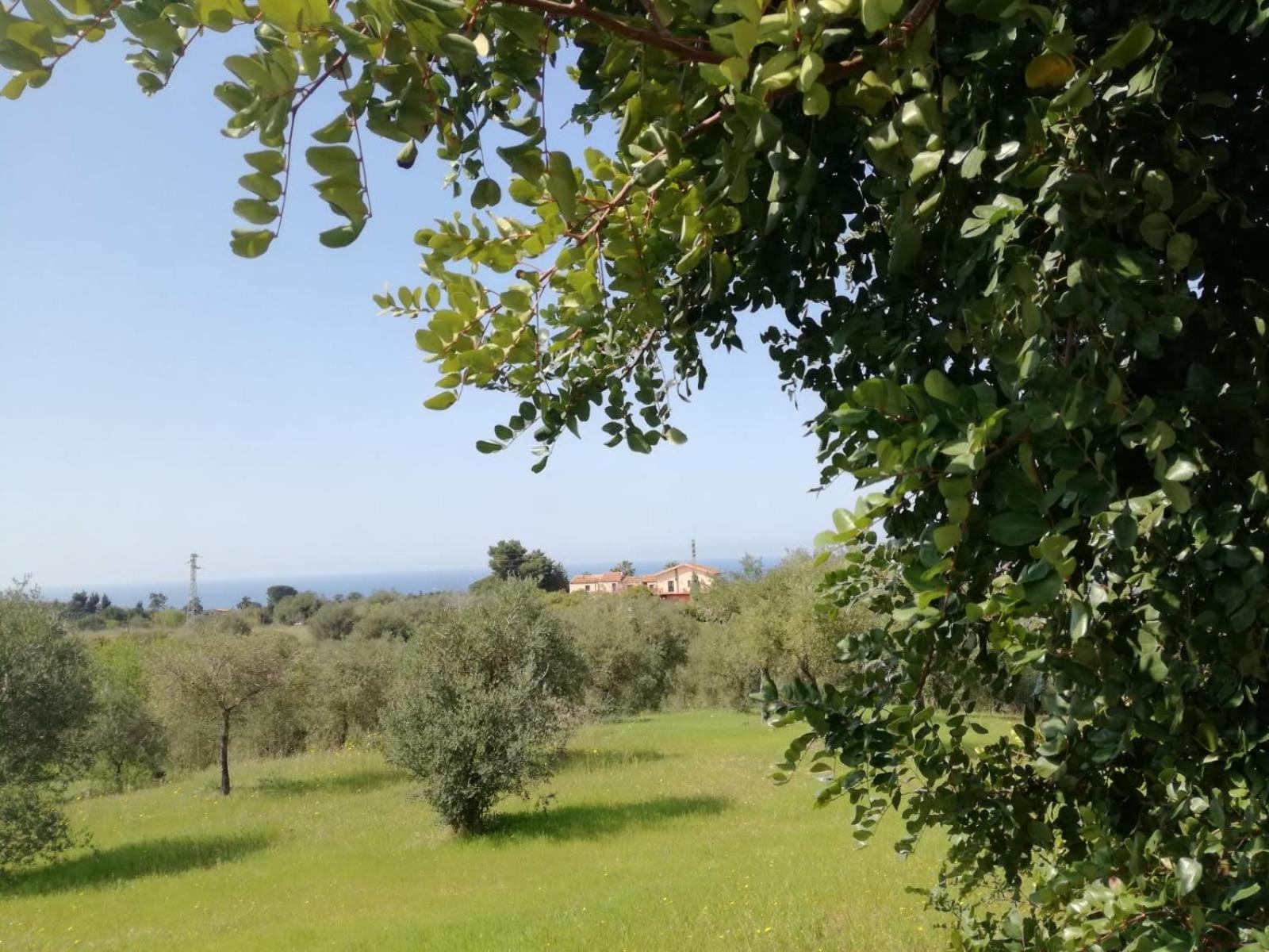 Il Casale Il Sole E La Margherita Кампофеличе-ди-Роччелла Экстерьер фото