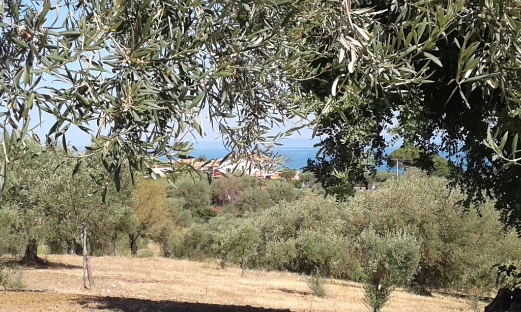 Il Casale Il Sole E La Margherita Кампофеличе-ди-Роччелла Экстерьер фото